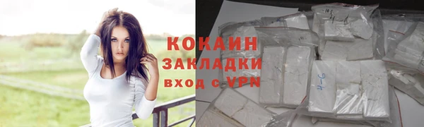 гашик Алзамай