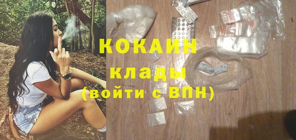 гашик Алзамай