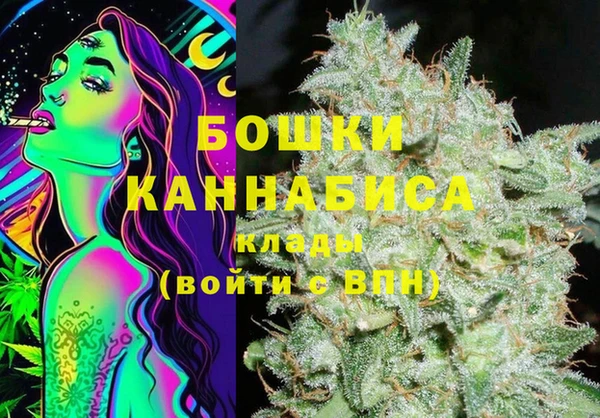 дживик Алексин