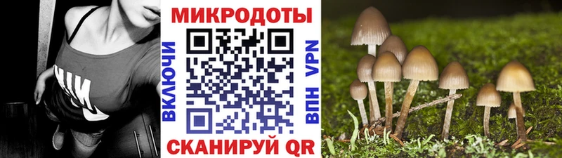 Псилоцибиновые грибы MAGIC MUSHROOMS  Кемь 